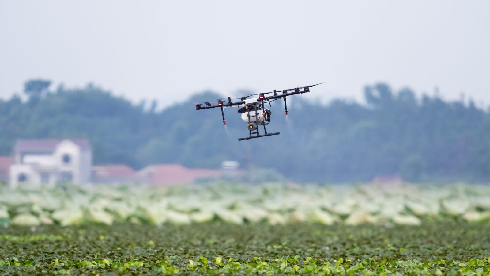agriculture drone sprayed fertilizer