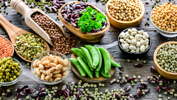 Common legumes that are the basis of plant-focused diets