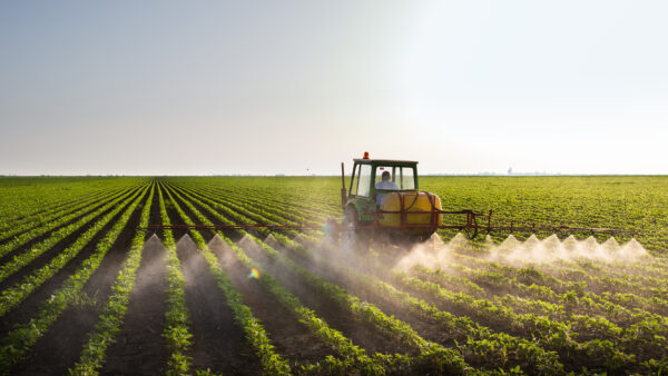 Tractor spraying soybean field