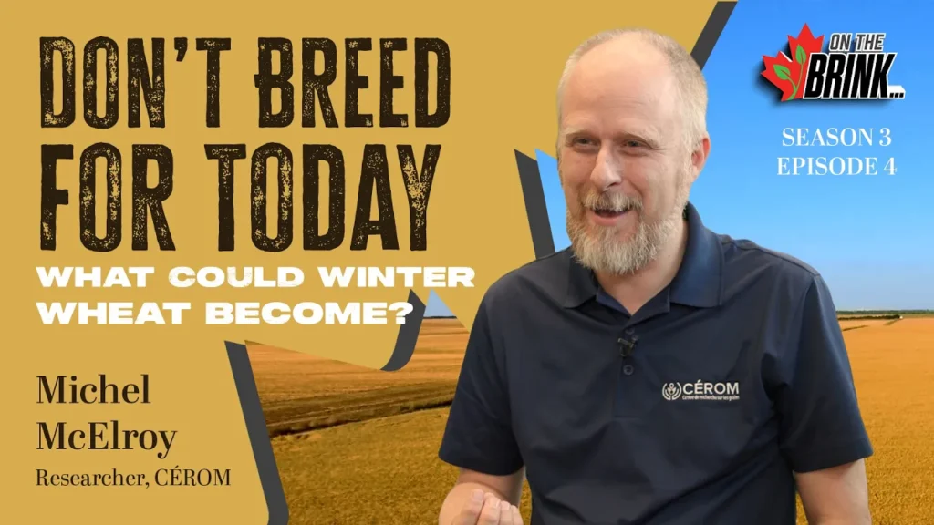 Michel McElroy of CÉROM speaking about winter wheat breeding in On The Brink Season 3 Episode 3. Revise if the selected image shows something different.