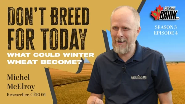 Michel McElroy of CÉROM speaking about winter wheat breeding in On The Brink Season 3 Episode 3. Revise if the selected image shows something different.
