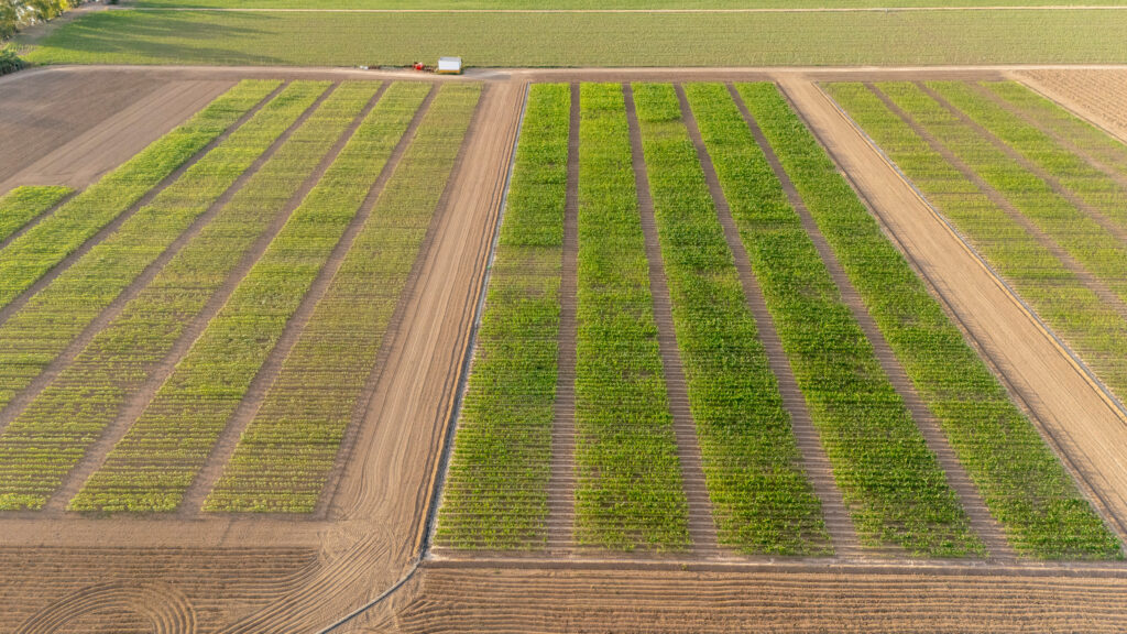 Agricultural research farm showing diverse crop trials