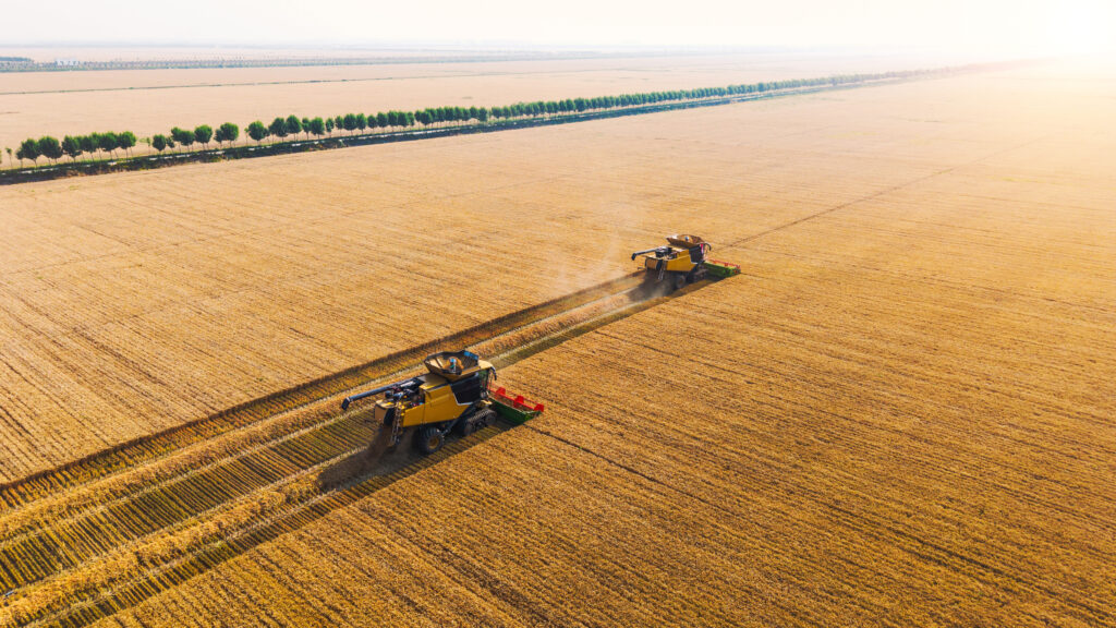 Drone shot of a tractor spraying in lush green wheat fields under the bright sun, showcasing modern agriculture