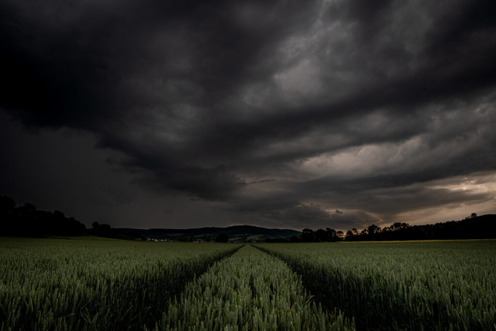 Thunderstorm dark clouds black over green corn