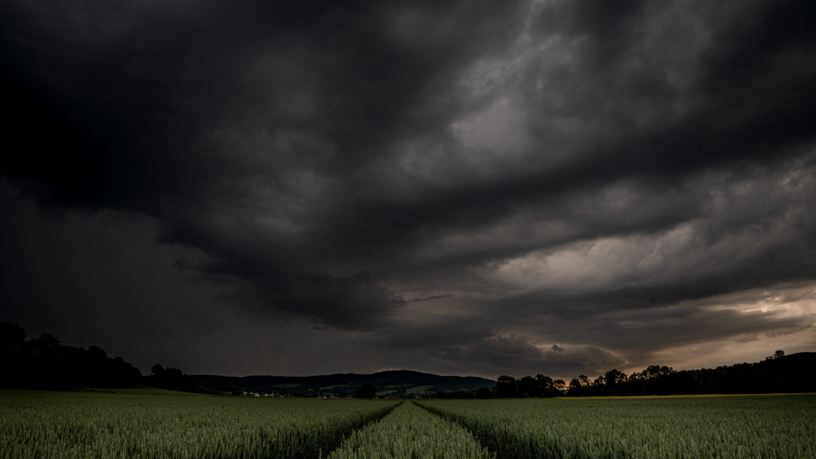 Thunderstorm dark clouds black over green corn