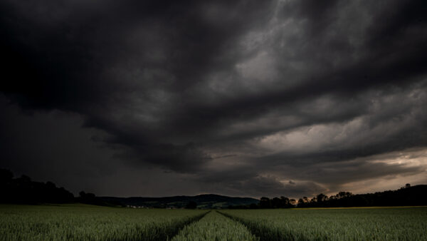Thunderstorm dark clouds black over green corn