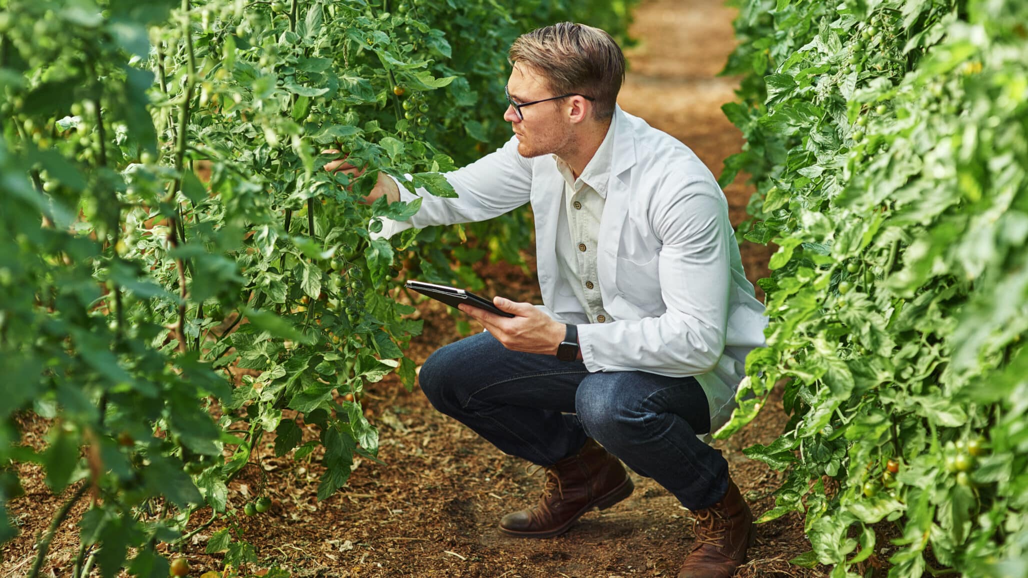 USDA Awards $86.6M in Specialty Crop Block Grants